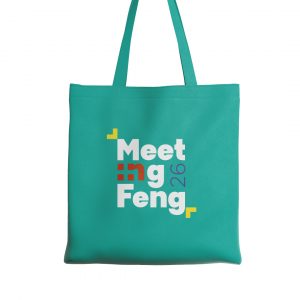 Bolsa de congresista